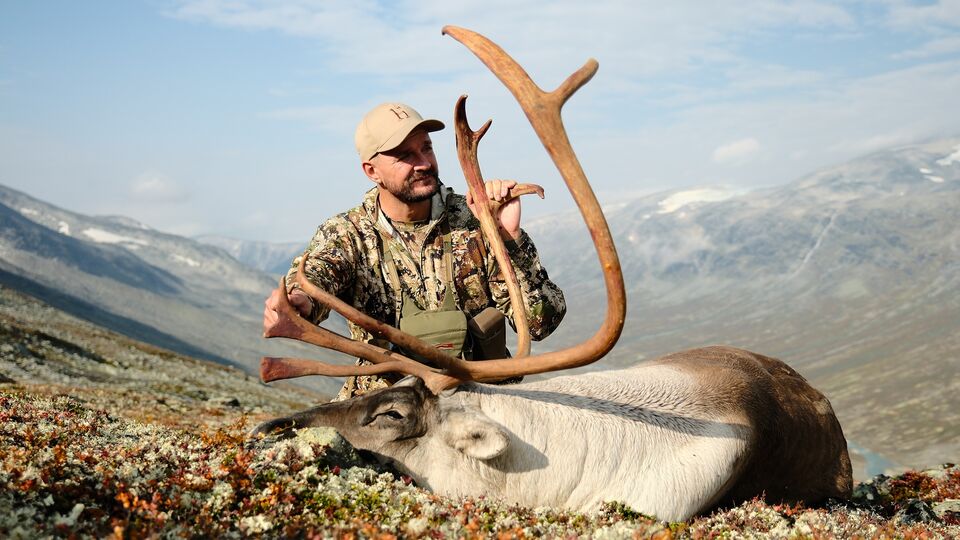 Reindeer hunting in Norway - Trailer