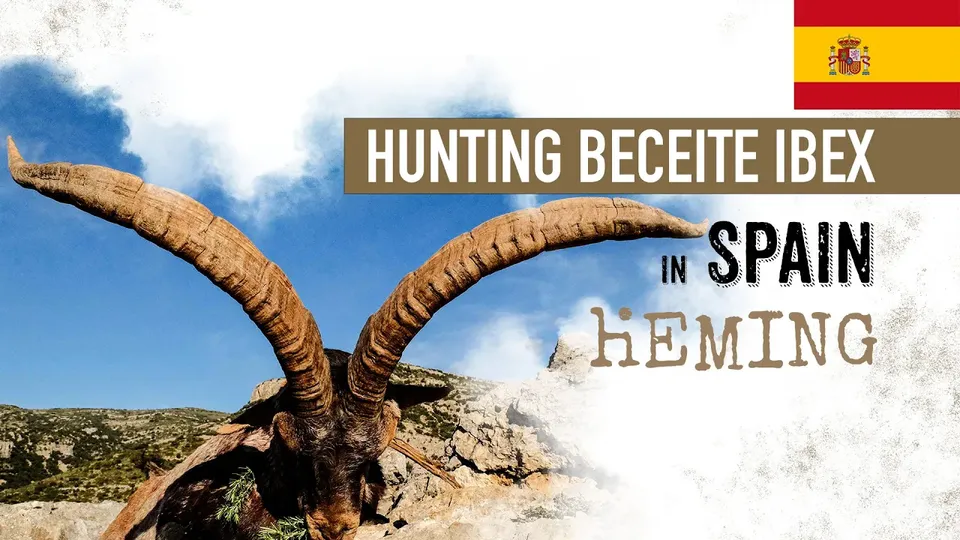 Hunting Beceite Ibex in Spain | Gold medal Billy  🥇
