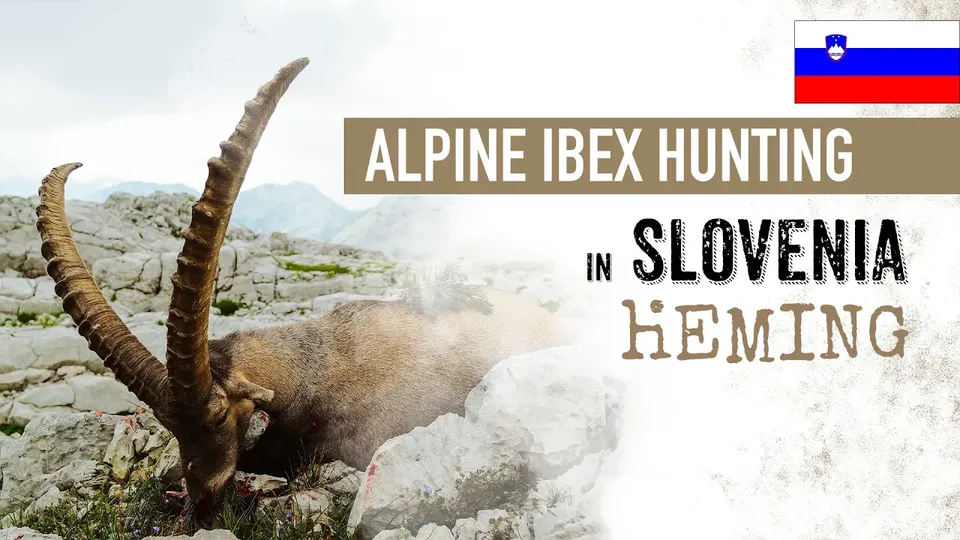 Alpine Ibex hunting in Slovenia | 194,3 b. CIC Gold medal🥇