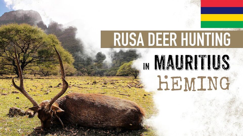 Hunting 🥇 RUSA deer & beach holiday in paradise